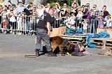 ARRESTATION POLICE 037